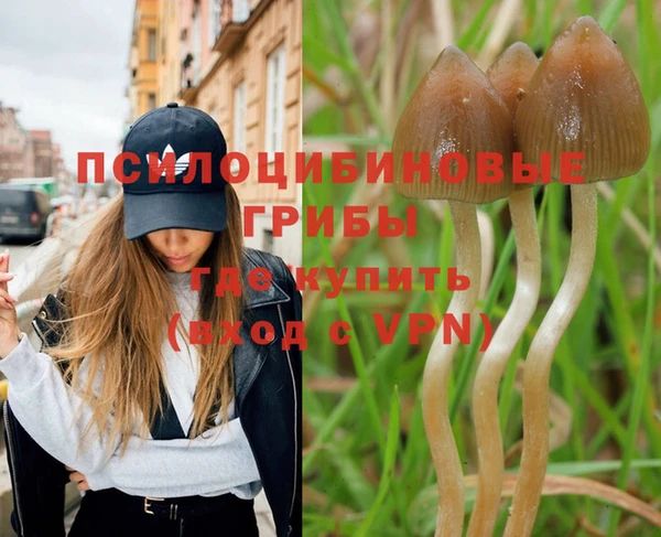 гашиш Баксан